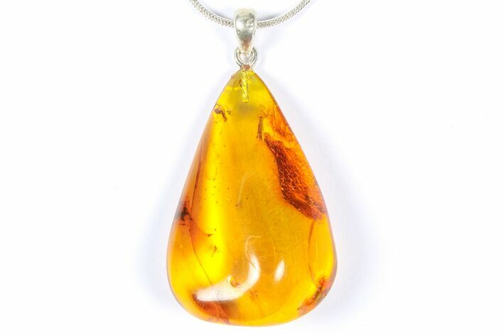 Polished Baltic Amber Pendant (Necklace) - Contains Fly! #368915